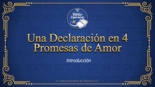 01 - Introducción y 1era Promesa