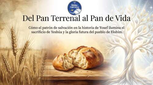 Parashá 11 - VaYigash - Del Pan Terrenal al Pan de Vida